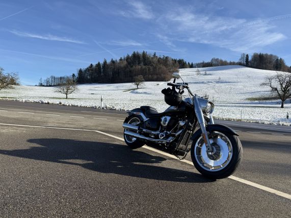 Harley Davidson Softail FLFB Fat Boy 117